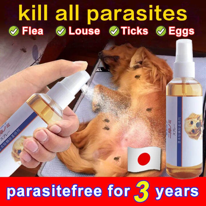 🐶Quickly kill ectoparasites😸Pet Spray Safe to lick 100 Effective Dog