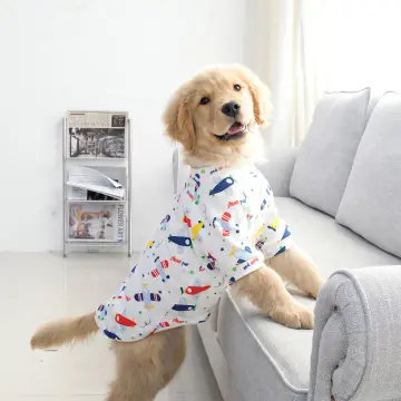 Labrador dog clothes outlet online