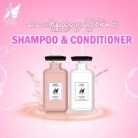 Fairy Shampoo &amp; conditioner