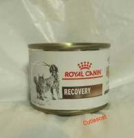 Royal Canin Recovery อาหารกระป๋องสำหรับสัตว์พักฟื้น​ 195​g. (จำนวน 1 กระป๋อง)