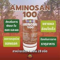 ดูโอ อมิโนซาน100 ตราหญิงงาม 1 ลิตร ส่งเสริมการพัฒนาของใบ ดอก และผล ลดการหลุดร่วงของดอกและผล ขยายผลอ่อนโตเร็ว