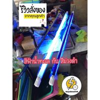 หลอดไฟล่อแมลง หลอด Black litgh พร้อมรางพร้อมสายประกอบเสร็จพร้อมใช้งาน มี 2 สี ม่วง กับ ฟ้าน้ำทะเล