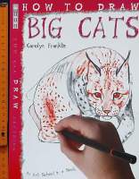 DRAWING BOOK**

??HOW TO DRAW BIG CATS/used 80 -90%