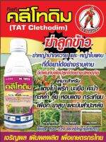 ใบแคบ คลีโทดิม 24% ขนาด1 ลิตร #ฆ่าหญ้าใบแคบป่าพริก,มะเขือ,หอม,กระเทียม,ขิง,ข่า,กระชาย