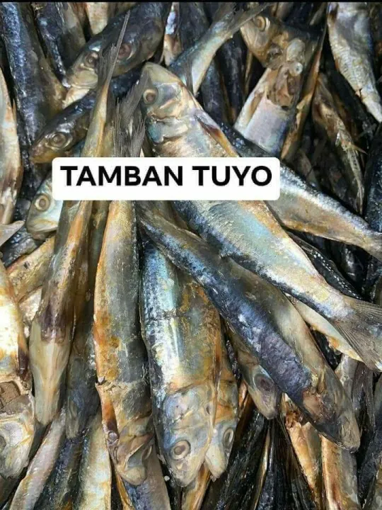 TAMBAN TUYO DRIED FISH (1KILO) | Lazada PH