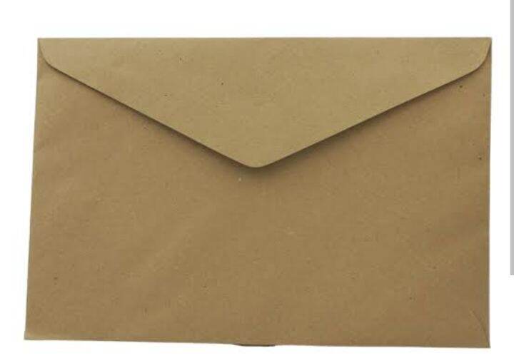 Brown Envelope Lazada PH