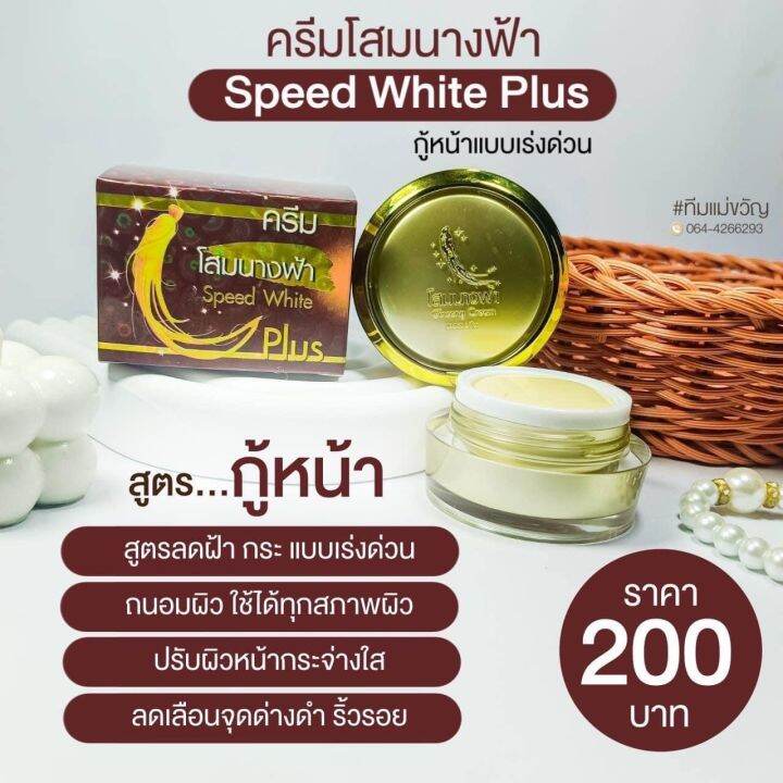 set-5-กล่อง-ครีมโสมนางฟ้า-ของเเท้100-speed-white-plus-premium-ginseng-ครีมกลางคืน-ขนาด-20-กรัม