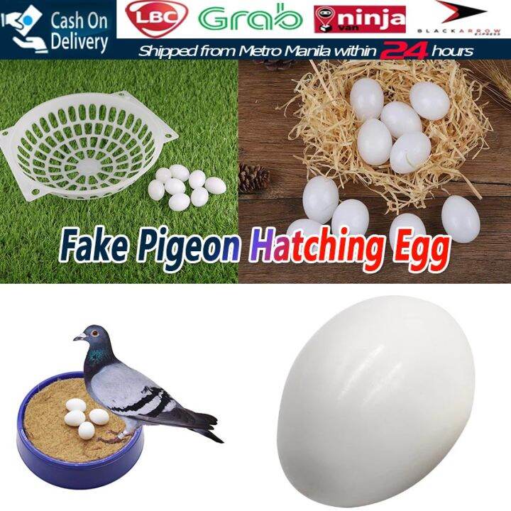 10PCS Injection Fake Pigeon Egg Assist Pigeons To Incubate Eggs Dove