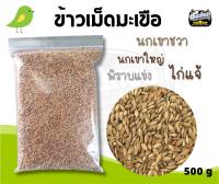 ข้าวเม็ดมะเขือ อาหารนก ขนาด 500 กรัม