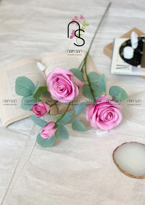 Dừng chân lại để chiêm ngưỡng vẻ đẹp đặc biệt của những bông hoa hồng Hàn Quốc đầy lôi cuốn trong hình ảnh này. Với sự pha trộn tinh tế giữa màu sắc và thiết kế, bông hoa hồng Hàn Quốc đã chinh phục trái tim của không ít người yêu hoa trên thế giới.