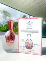 Enchanteur LUXE BLANC