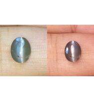 อเล็กซานไดรต์เปลี่ยนสีธรรมชาติ 1.61cts 7.6x5.8mm 1.61cts natural color change alexandrite catseye 7.6x5.8mm