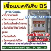 หัวเชื้อ บีเอส , บาซิลลัส ซับทีลิส , BS ขนาด 500 กรัม ป้องกัน กำจัดเชื้อรา รากเน่า โคนเน่า ใบไหม้ แคงเกอร์  กุ้งแห้ง