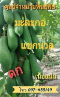 เมล็ดมะระกอแขกนวลดำเนิน80-100เมล็ดมะระกอแขกนวลดำเนินเนื้อแน่กรอบนิยมตำส้มตำ