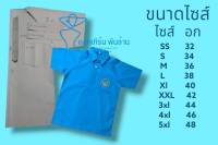 แพทเทิร์นเสื้อพละนักเรียน(แบบไม่เผื่อเย็บ)