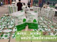 สบู่ใบบัวบก10ก้อนส่งฟรีแถมเซรั่มแถมตีฟอง แพ้ทุกอย่างพอมาเจอสบู่ใบบัวบกใช้แค่ก้อนเดียวเออมันโดนอะ59บาทคุ้มแฮะ♥️59บาทไม่แพ้อีกต่อไป