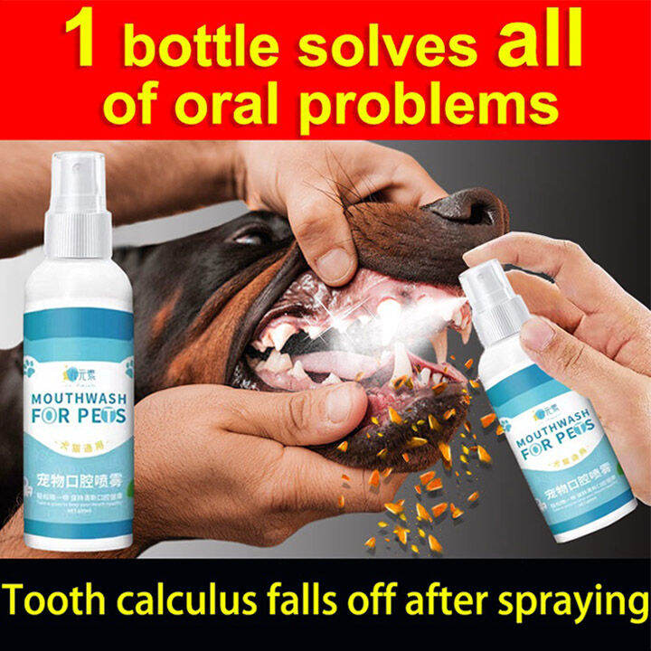 Pet Oral Teeth Hygiene Cleansing Health Spray Teeth Cleaning Spray
