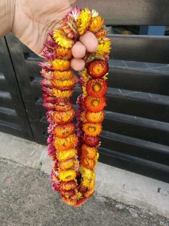 DRIED EVERLASTING FLOWERS GARLAND FROM BAGUIO CITY Lazada PH
