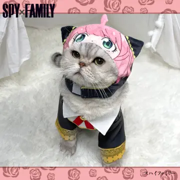 ChoChoCho Anime Cosplay Ninja Costume Dog Costume  Cat Costume for  Halloween Ninja Cloak for Dogs and Cats Anime  Japanoscope