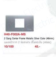 HACO H40-F002A-MS แผงหน้ากาก 2 ช่องกลาง (46มม.) H40-F002A -MS