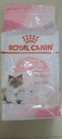 babycat 2kg royal caninลูกแมวแรกเกิด