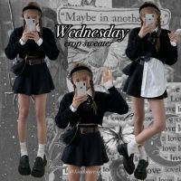 KINDARARE — Wednesday crop sweater (พร้อมส่ง)