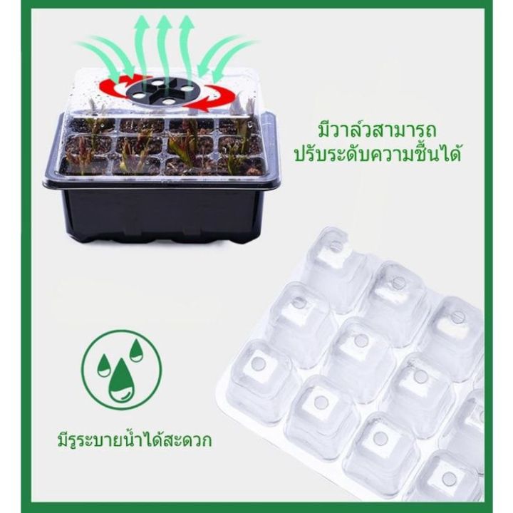 ซื้อ-2-กล่อง-แถมฟรี-เมล็ดยิมโนด่าง-กล่องเพาะเมล็ด-กล่องเพาะเมล็ดจิ๋ว-ชุดเพาะเมล็ด-ถาดเพาะเมล็ด-คุมความชื้น-ต้นอ่อน-แคดตัส-กระบองเพชร