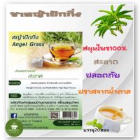 หญ้าปักกิ่ง,ชาหญ้าปักกิ่ง AngelGrass บรรจุ 20 ซอง สินค้าคุณภาพจากผู้ผลิต  สะอาด ใหม่ ได้มาตรฐาน