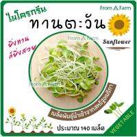 Form a Farm | ฟอร์มอะฟาร์ม • เมล็ดทานตะวัน(Sunflower seed) ไมโครกรีน ปลูก ต้นอ่อนทานตะวัน ~140 เมล็ด เมล็ดพันธุ์ นำเข้าจากสหรัฐอเมริกา