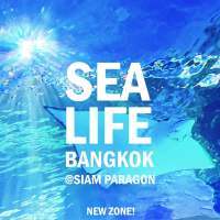 [E-Voucher] SeaLife Bangkok บัตรซีไลฟ์แบงคอก สยามพารากอน?จัดส่งQR CODE ทางแชทเท่านั้น?