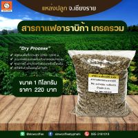 สารกาแฟเม็ดรวม อาราบิก้า Dry อ.ปางขอน จ.เชียงราย น้ำหนัก 1 กิโลกรัม