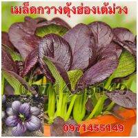 เมล็ดกวางตุ้งฮ่องเต้ม่วง 2800 เมล็ด ปลูกง่าย ทนโรค โตไว