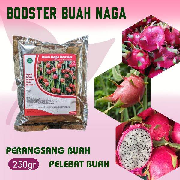 Pupuk Booster Buah Naga Pelebat Buah Organik Agar Cebat Berbuah Lebat ...