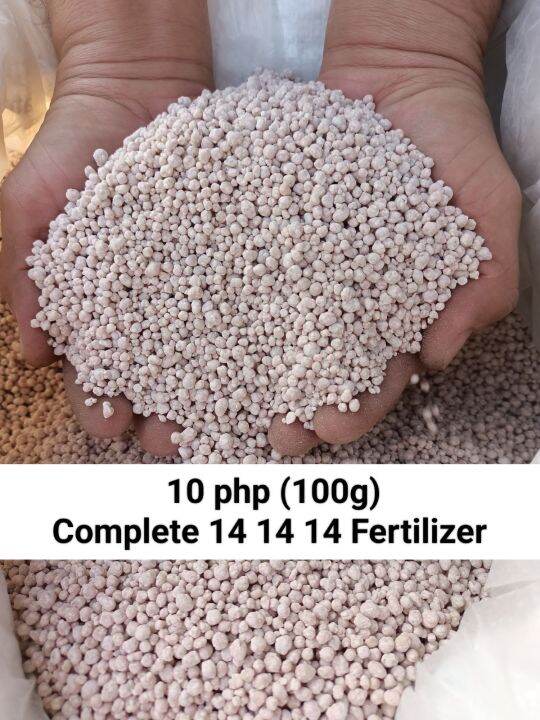 Complete Triple 14 14 14 Fertilizer (pampabulaklak at pampabunga