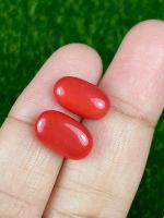 8.78cts สีแดงคอรัล คู่ 13x7.8x5.2mm 8.78cts red coral pair 13x7.8x5.2mm