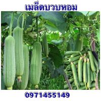 เมล็ดบวบหอม