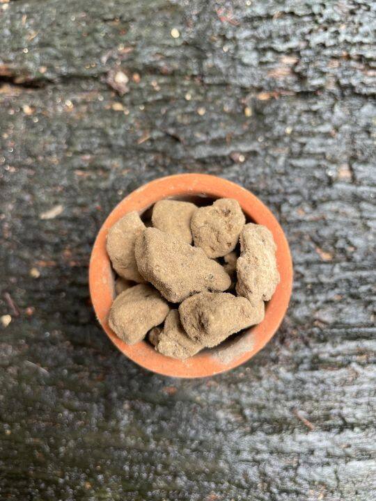 1kg-หินภูเขาไฟ-pumice-stone-พัมมิส-หิน-ภูเขาไฟ-หินลาวา-วัสดุปลูก-ดินปลูก-ผสมดินปลูก