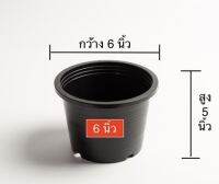 กระถางต้นไม้พลาสติก 6 นิ้ว ? สีดำ (ชุดละ5 ใบ=69 บาท) ? มีของพร้อมส่งครับ