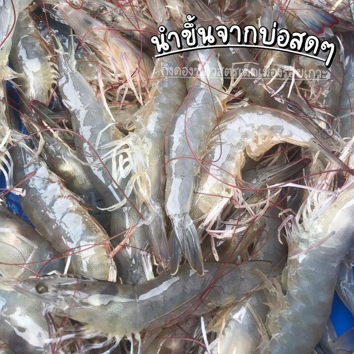 หอยแครง-กุ้ง-ดองซีอิ๊วสูตรเด็ดเมืองร้อยเกาะ