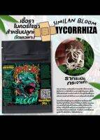 ไมคอร์ไรซ่าสำหรับปลูกสายเขียว MYCORRHIZA