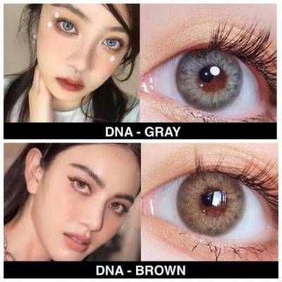 คอนแทคเลนส์  DNA Brown/Gray (ขนาด14.2) มีค่าส่ยตาและสายตาปกติ ยี่ห้อ Wink
