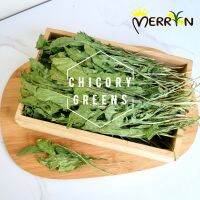 ใบชิโครีอบแห้งปลอดสารพิษ สำหรับสัตว์ - Dried Chicory Greens by Merryn (100G)