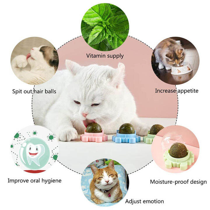 Pet Mint Ball Cat Snack Cat Mint Ball Treatment Toy Ball Cat Favorite