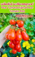 เมล็ดพันธุ์ มะเขือเทศลูกแพร์ Pear Tomato (Original) ***มะเขือเทศแดง Pear Tomato Red*สายพันธุ์ OP จำนวน100เมล็ด