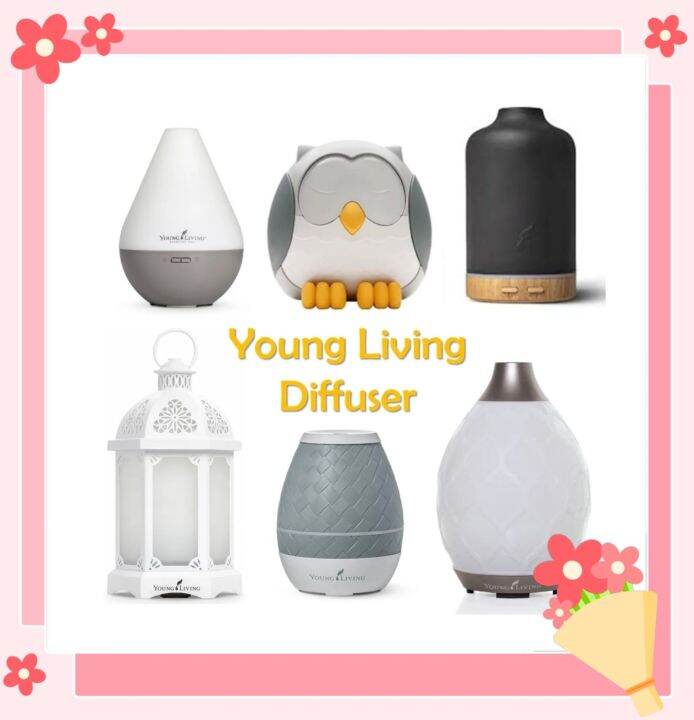 YoungLivings Diffuser Owl Diffuser Sweet Aroma Shelly The Turtle