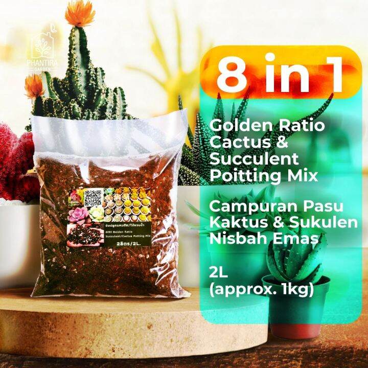 8 in 1 Golden Ratio Succulent/ Cactus Potting mix 仙人掌泥土//多肉植物泥土 (1.1kg