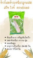 ข้าวโพดข้าวเหนียวลูกผสมสวีทไวท์F1(1ก.ก)