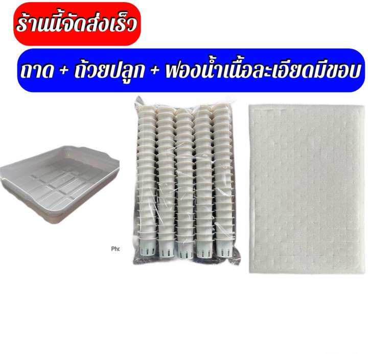 ถาดเพาะ-ถ้วยปลูก-100ใบ-ฟองน้ำเนื้อละเอียด-1-แผ่น-จัดส่งทุกวัน