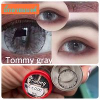 เกร็ดน้ำแข็ง เกร็ดหิมะ แฟชั่นลาย Tommy สีเทา สีน้ำตาล