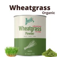 ?Organic Wheatgrass Powder ผงต้นอ่อนข้าวสาลี ออร์แกนิค เกรดพรีเมี่ยม ขนาด 250 กรัม